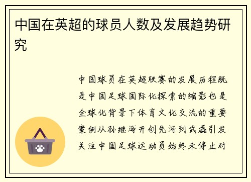 中国在英超的球员人数及发展趋势研究